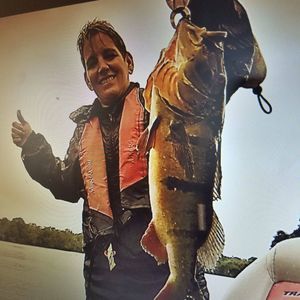 Meet your Posher, Korye